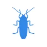 Уничтожение тараканов в Домодедове